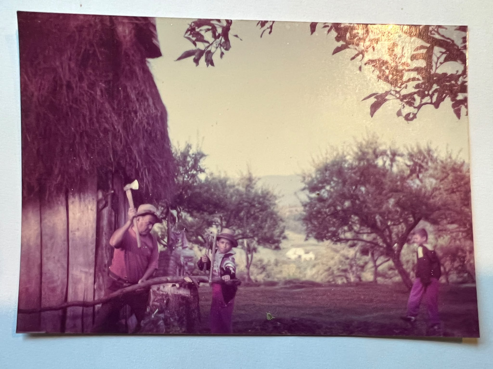 A man in a hat swings an axe beside a thatched barn, with two boys standing near him in an orchard.