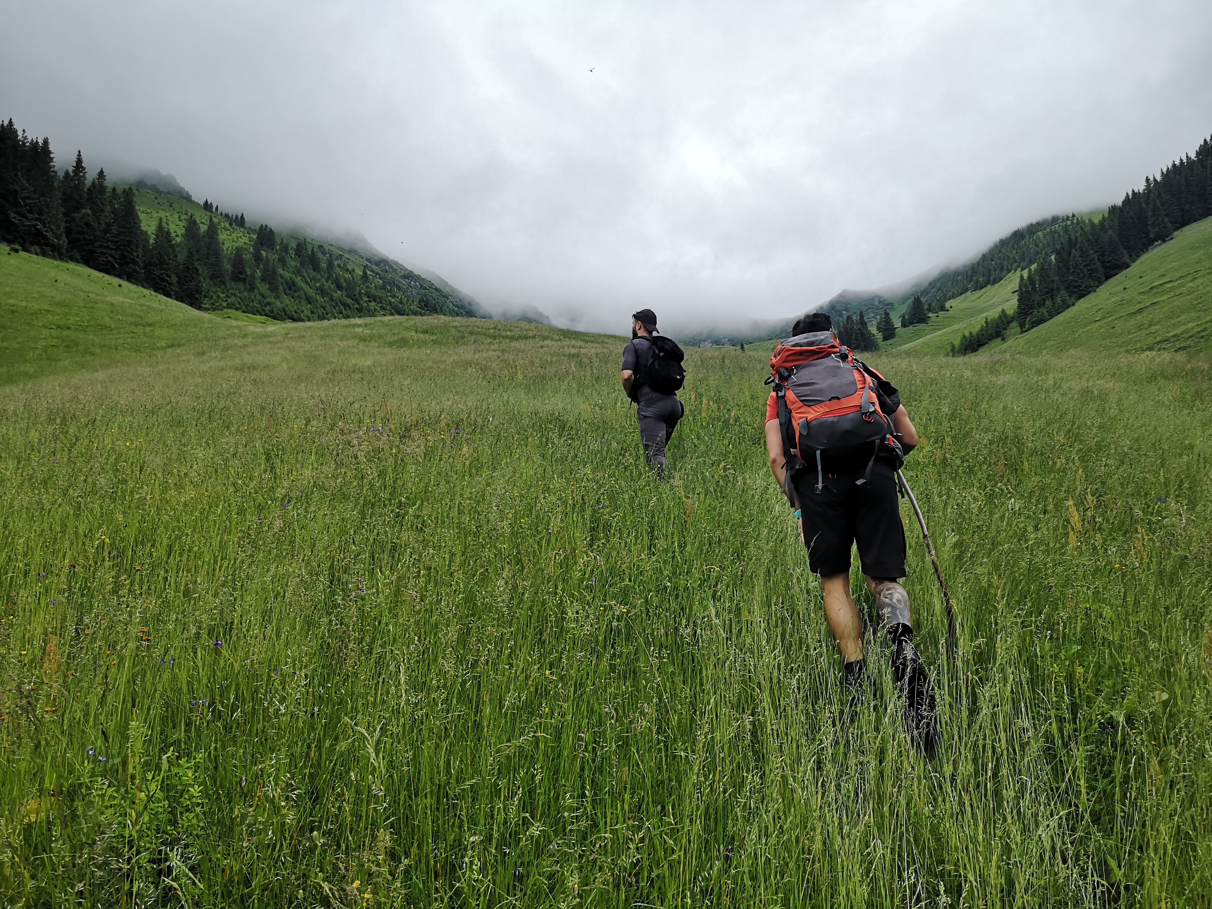 Two hikers cross a tall green meadow toward mountains hidden in low cloud.